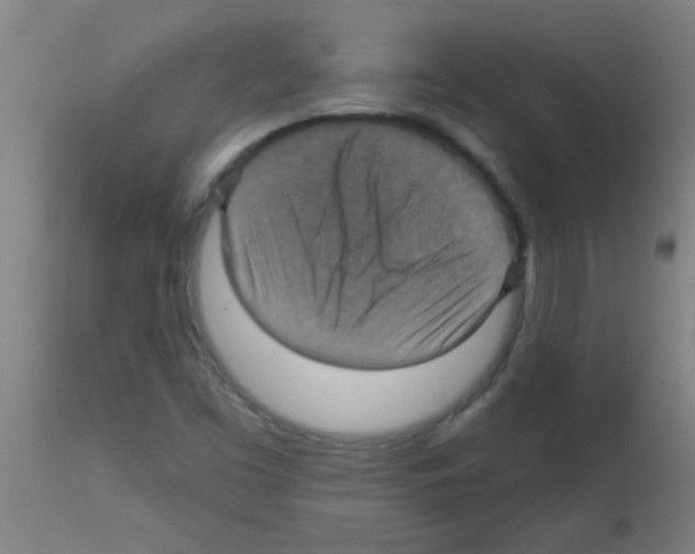 X0000113181453200910161320