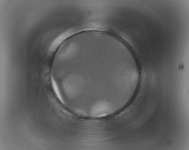 X0000113181455200910161320