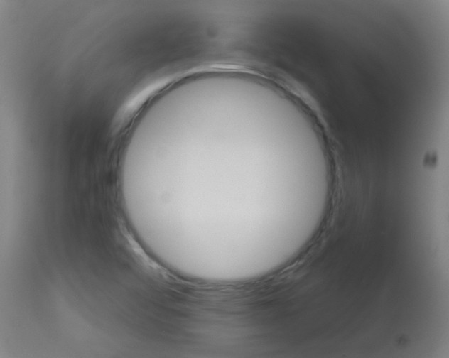 X0000113181456200910161320