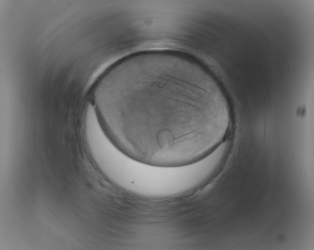 X0000113181457200910161320