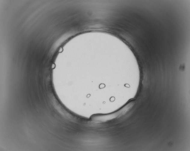 X0000113181458200910161320