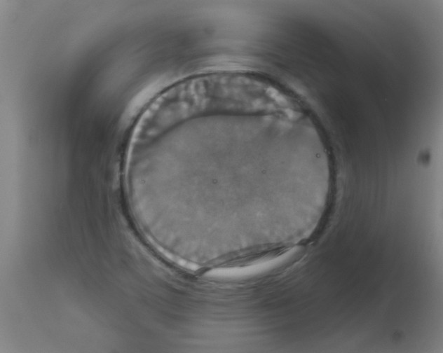 X0000113181459200910161320