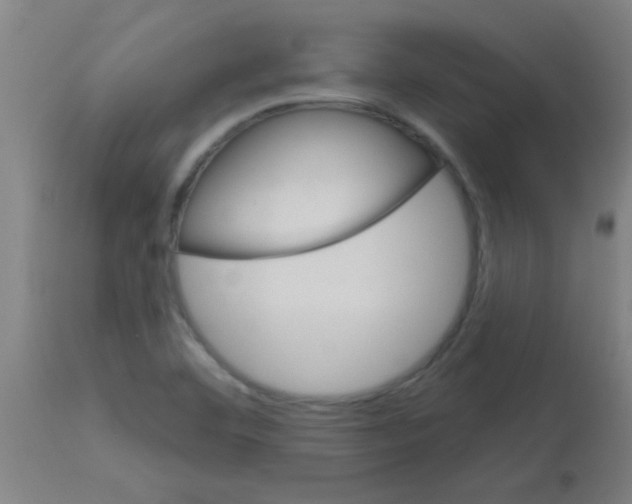 X0000113181460200910161320