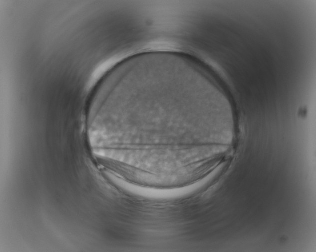 X0000113181461200910161320