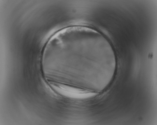 X0000113181463200910161320