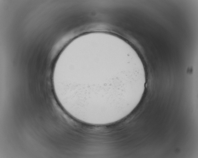 X0000113181464200910161320