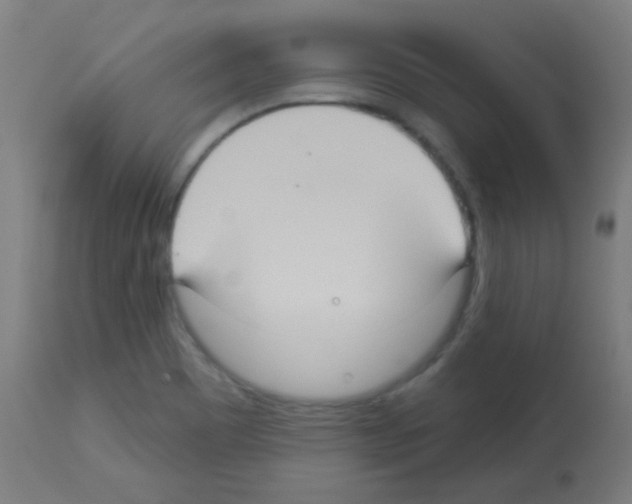 X0000113181465200910161320