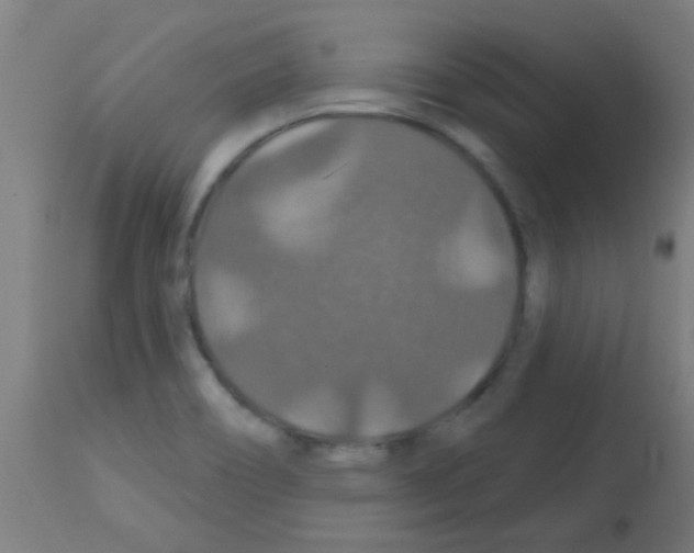 X0000113181466200910161320