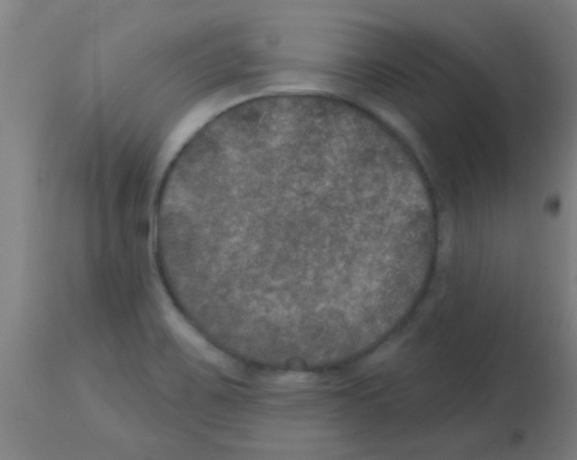 X0000113181467200910161320