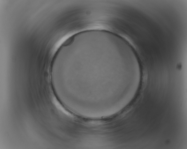 X0000113181468200910161320