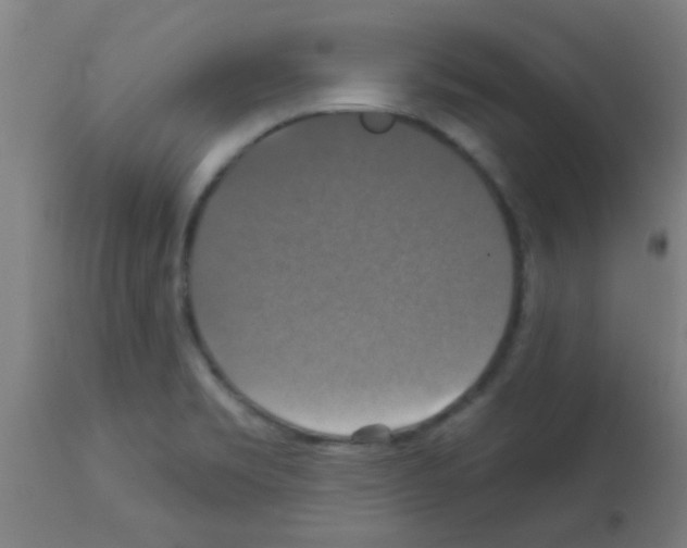 X0000113181469200910161320