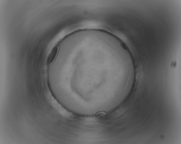 X0000113181472200910161320