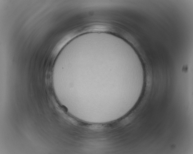 X0000113181473200910161320