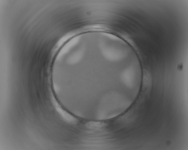 X0000113181474200910161320