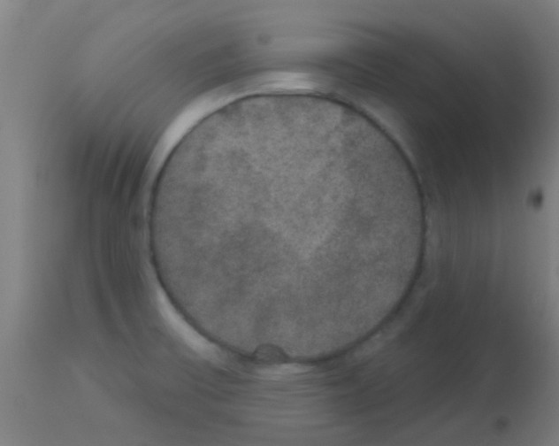 X0000113181475200910161320