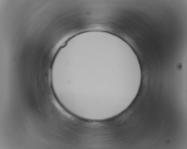 X0000113181476200910161320