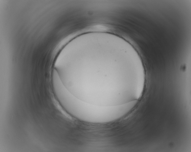X0000113181477200910161320