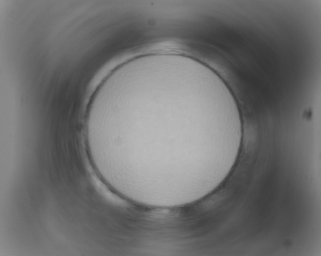 X0000113181478200910161320