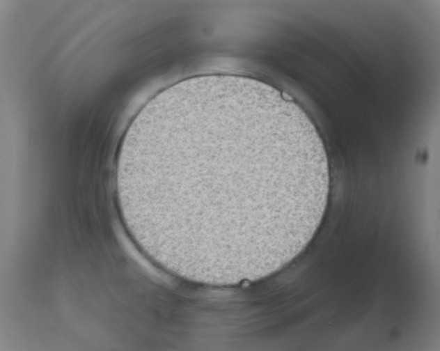 X0000113181479200910161320