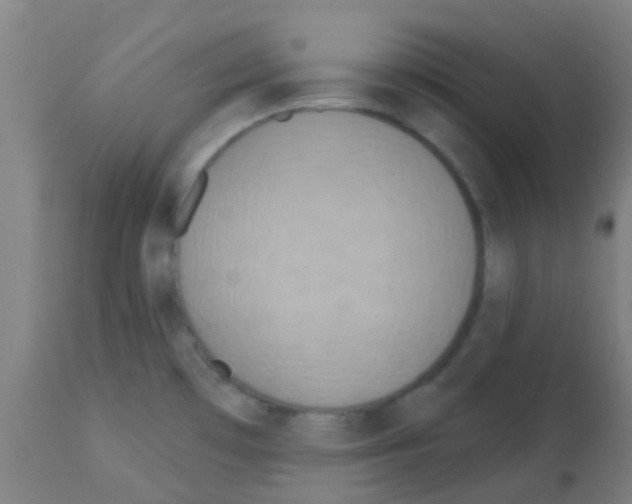 X0000113181481200910161320