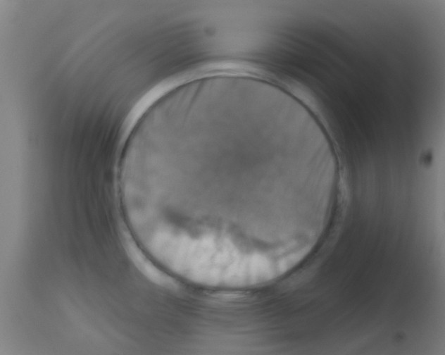 X0000113181482200910161320