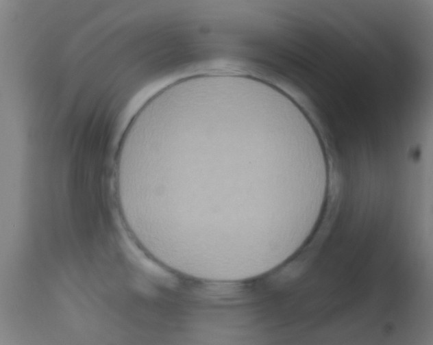X0000113181486200910161320
