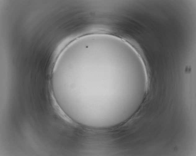 X0000113181488200910161320