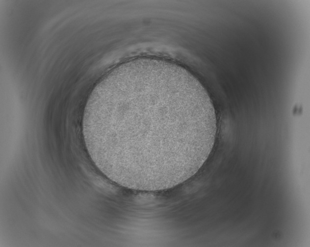 X0000113181489200910161319