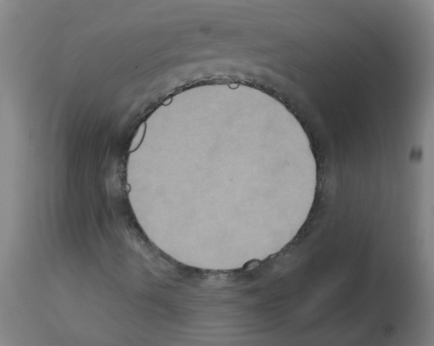 X0000113181490200910161319