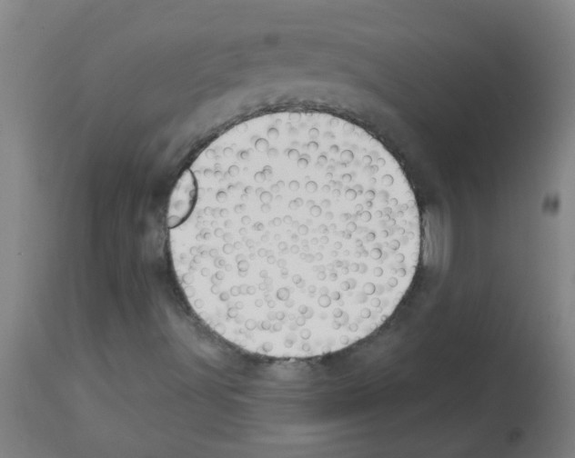 X0000113181491200910161319
