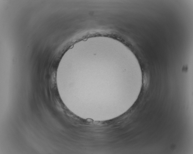 X0000113181492200910161319