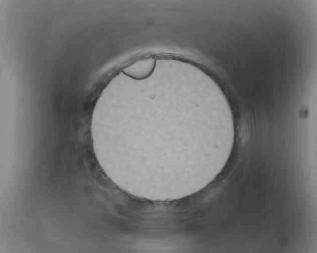 X0000113181494200910161319