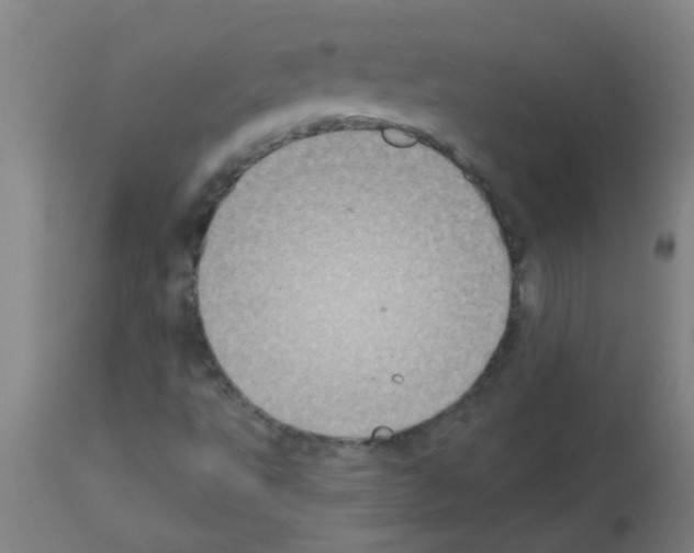 X0000113181495200910161319