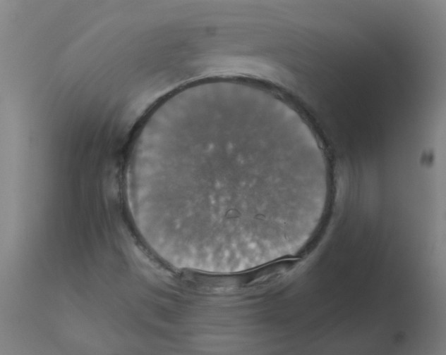 X0000113181497200910161319
