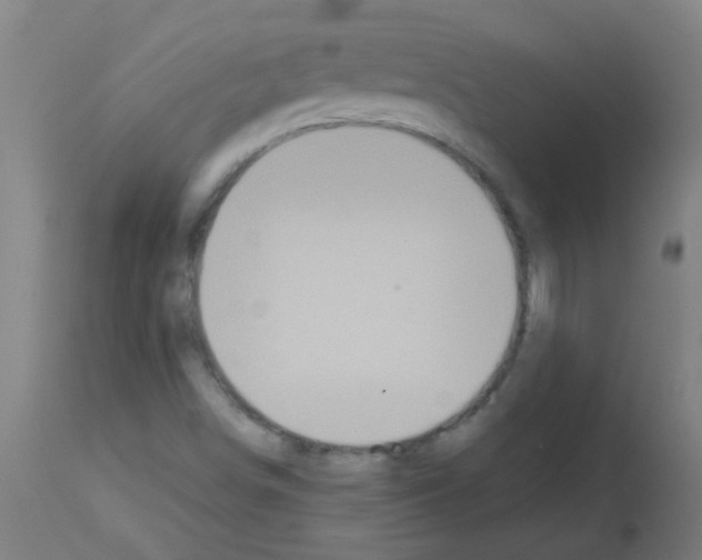 X0000113181498200910161319