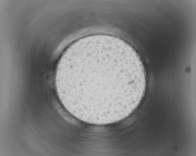X0000113181499200910161319