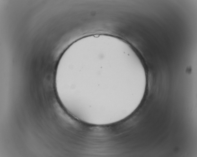 X0000113181500200910161319