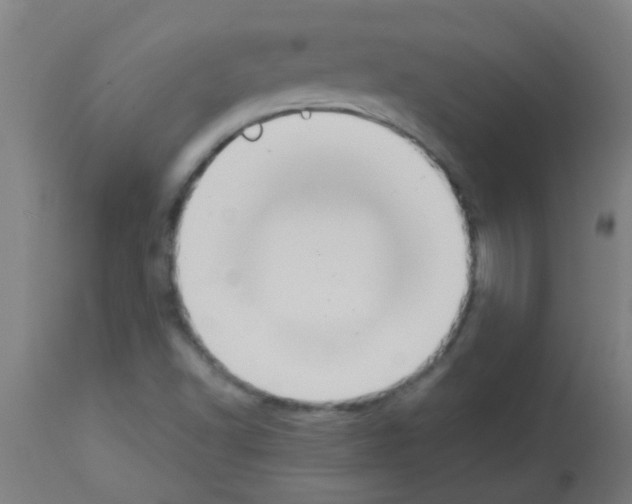 X0000113181502200910161319