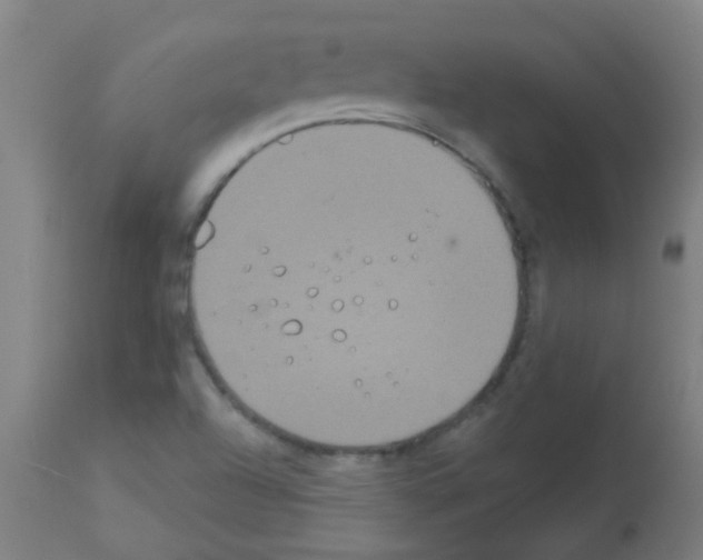 X0000113181504200910161319