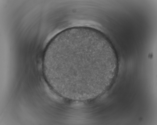 X0000113181505200910161319