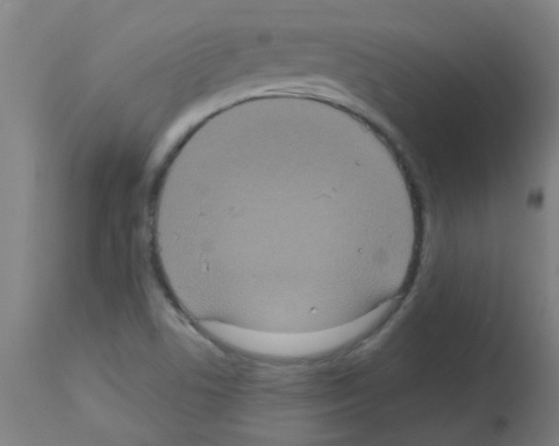 X0000113181506200910161319
