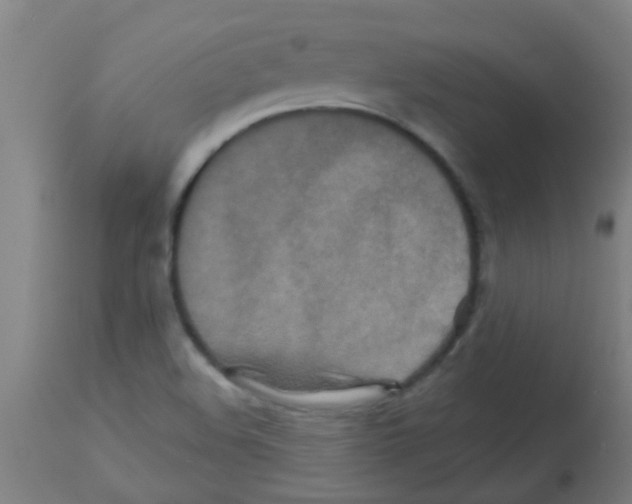 X0000113181508200910161319