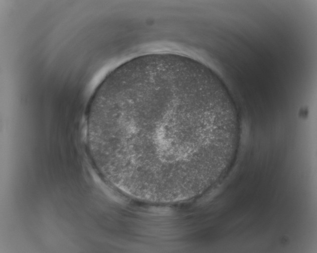 X0000113181509200910161319