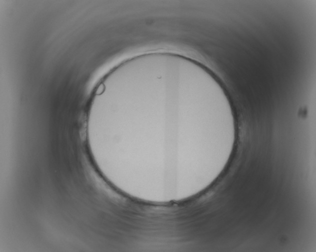X0000113181510200910161319