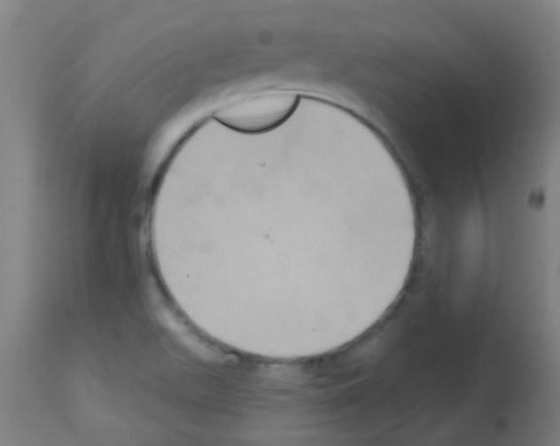X0000113181511200910161319