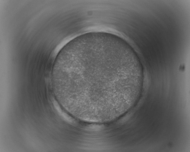 X0000113181513200910161319