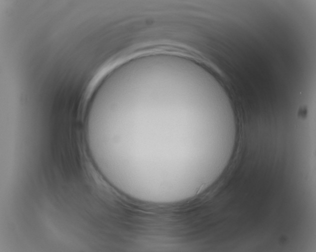 X0000113181514200910161319