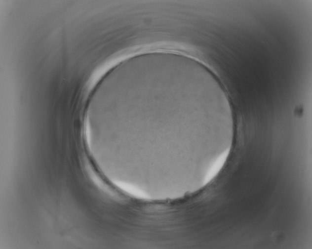 X0000113181515200910161319