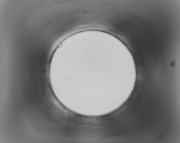 X0000113181516200910161319