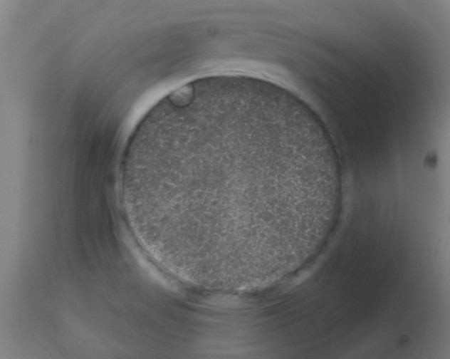 X0000113181517200910161319